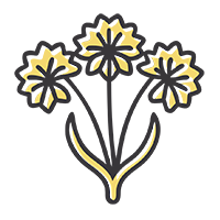 Избавим от борщевика